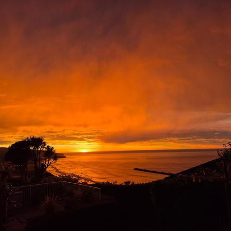 Rosemount B&B By The Sea St Clair Dunedin Eksteriør bilde