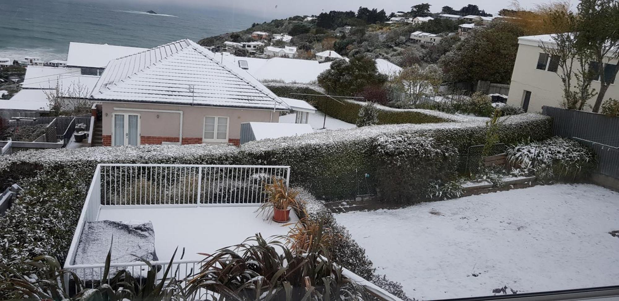 Rosemount B&B By The Sea St Clair Dunedin Eksteriør bilde