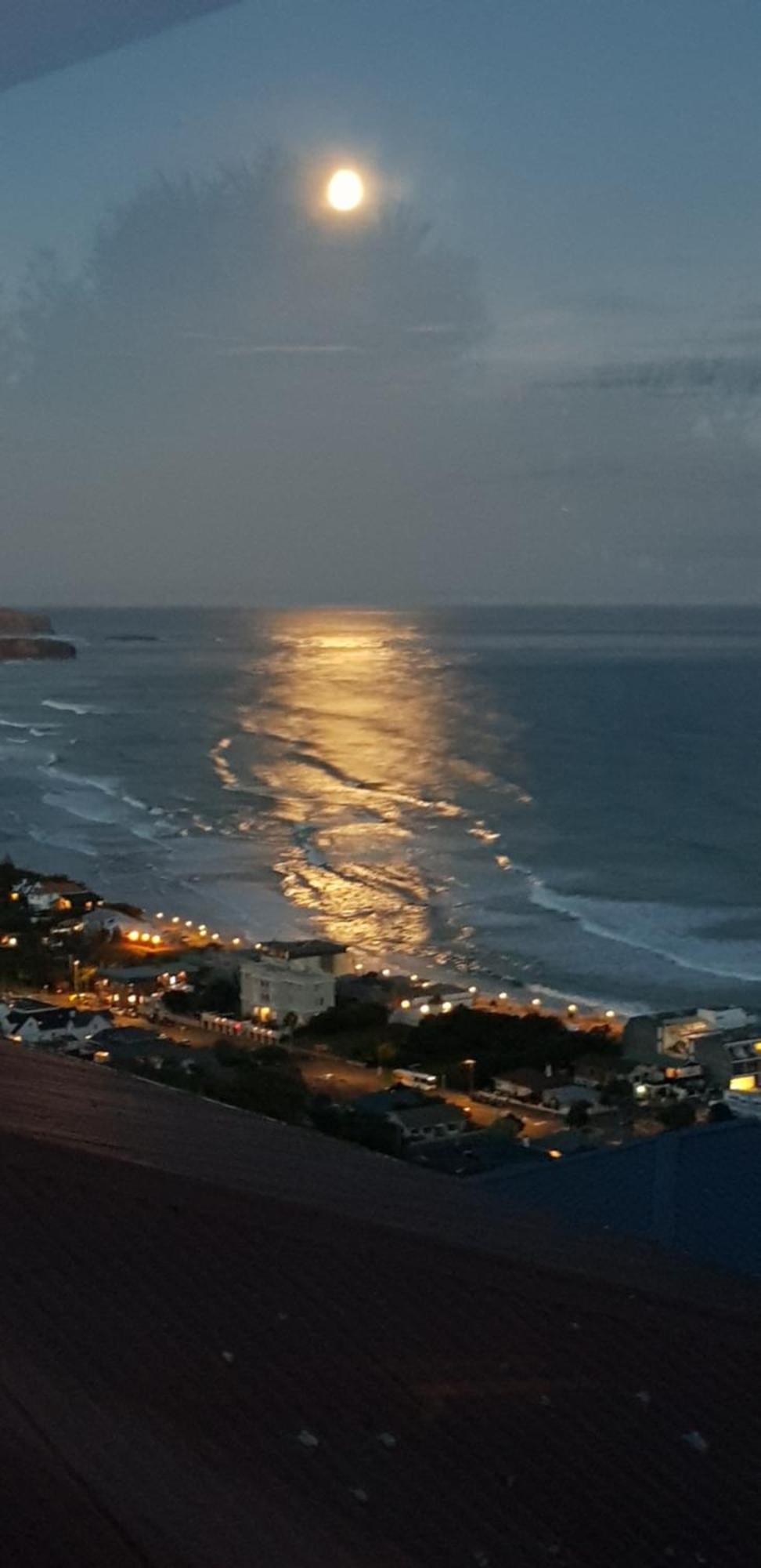 Rosemount B&B By The Sea St Clair Dunedin Eksteriør bilde