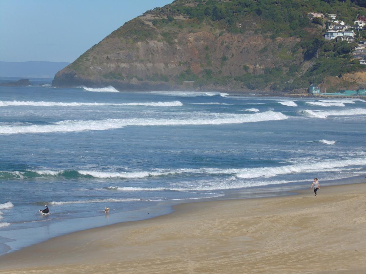 Rosemount B&B By The Sea St Clair Dunedin Eksteriør bilde